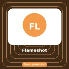 Flameshot indir