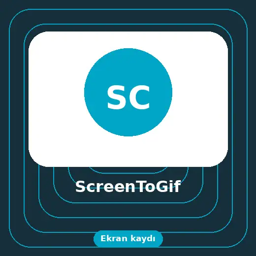 ScreenToGif indir